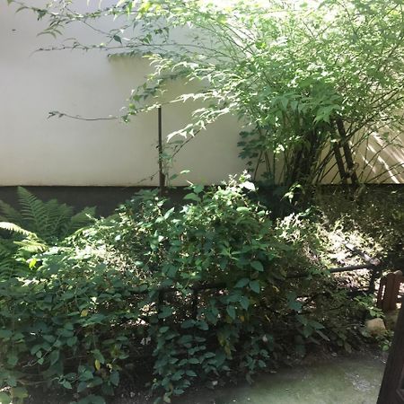 Old City House براشوف المظهر الخارجي الصورة