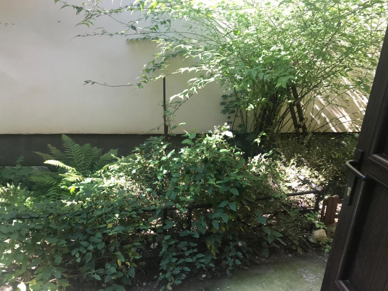 Old City House براشوف المظهر الخارجي الصورة